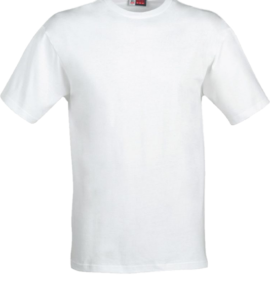 t shirt blank